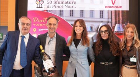 Ecco “50 sfumature di Pinot Noir”