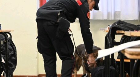 I carabinieri nelle scuole e nei locali notturni