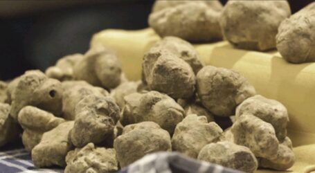 Il tartufo eccellenza della Val Curone